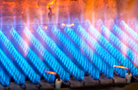 Balmer gas fired boilers